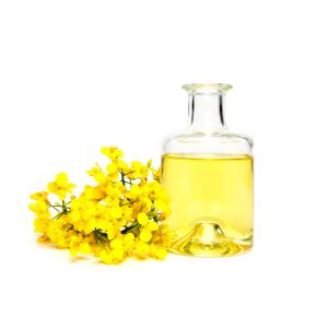 canola-oil-1-1024x1024