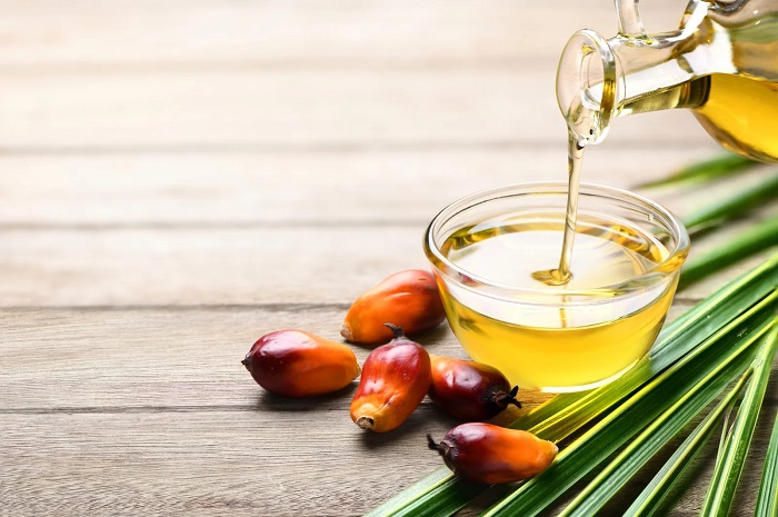 روغن پالم چیست؟ کابرد، مزایا و عوارض