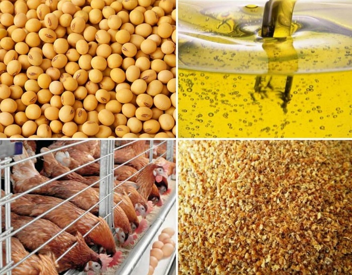 روغن طیور چیست؟